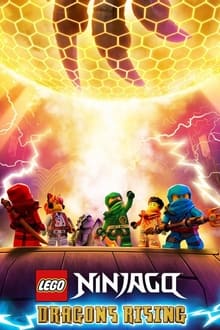 LEGO Ninjago: Dragons Rising 2x2