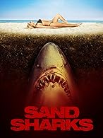 Sand Sharks